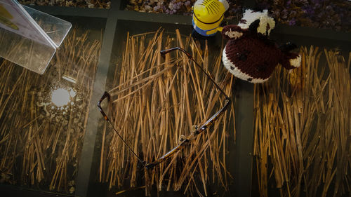 Low angle view of illuminated lighting equipment hanging on roof