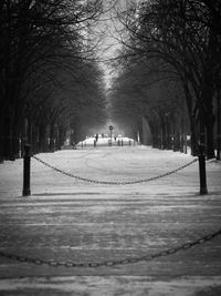 Empty footpath along trees