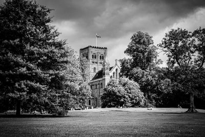 Trees and plants in lawn against sky