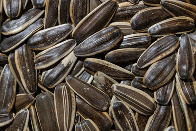 sunflower seed