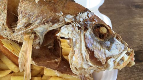 High angle view of animal skull