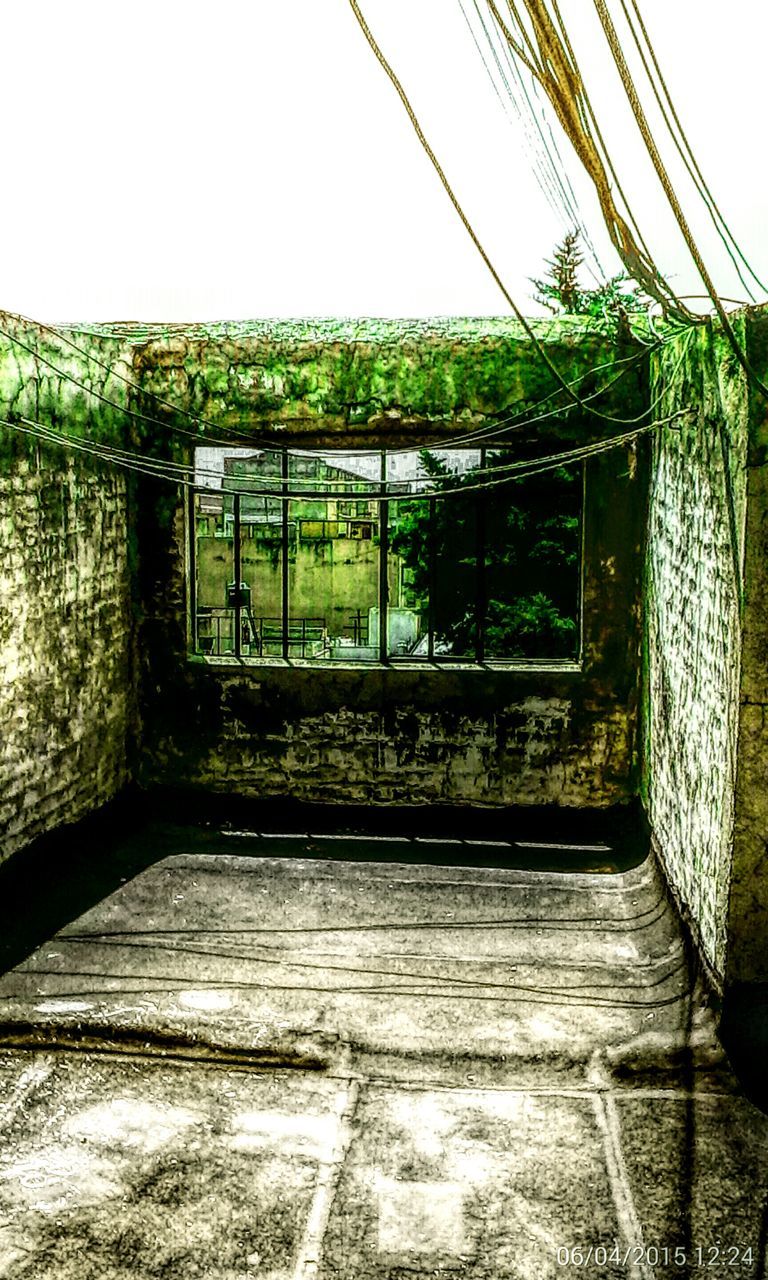 plant, built structure, growth, window, architecture, railing, clear sky, closed, tree, day, wall - building feature, metal, house, indoors, no people, green color, nature, fence, sunlight, wood - material