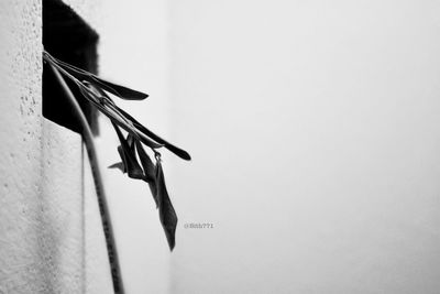 Low angle view of clothes hanging on wall