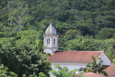 Exterior of temple by building in forest