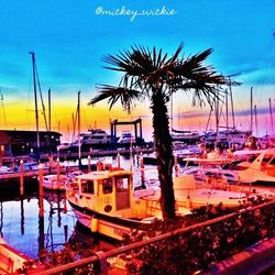 moored