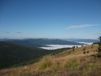 Scenic view of landscape against clear sky