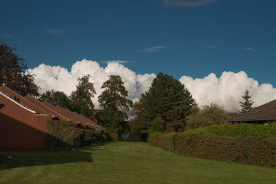 Scenic view of trees and houses against sky