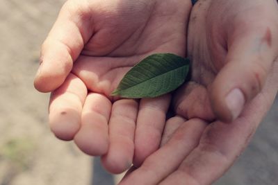 Close-up of hand holding baby