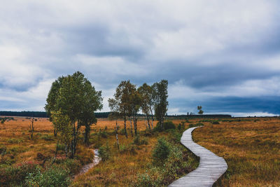 Trees on field against sky