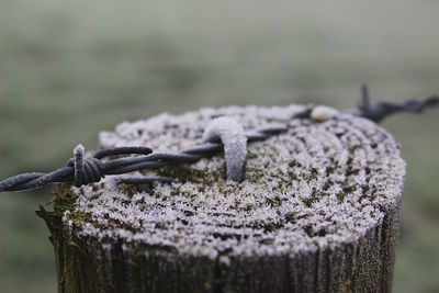 Close-up of rope tied on wooden post