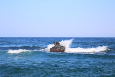 Scenic view of sea against clear sky