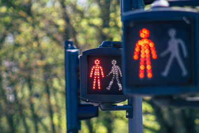 Close-up of illuminated road sign