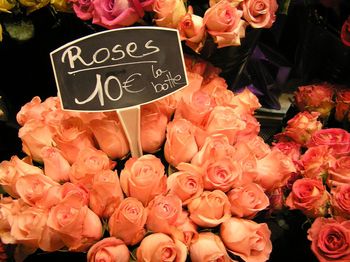 Close-up of pink roses for sale at market