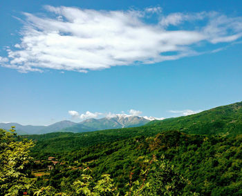 Scenic view of landscape against sky