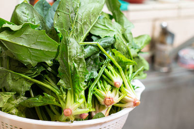 Close-up of vegetables