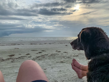 Midsection of woman with dog on sea shore against sky