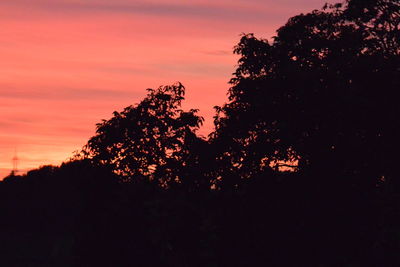 Low angle view of silhouette trees against sky during sunset