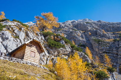 Scenic view of trees and mountains against clear blue sky