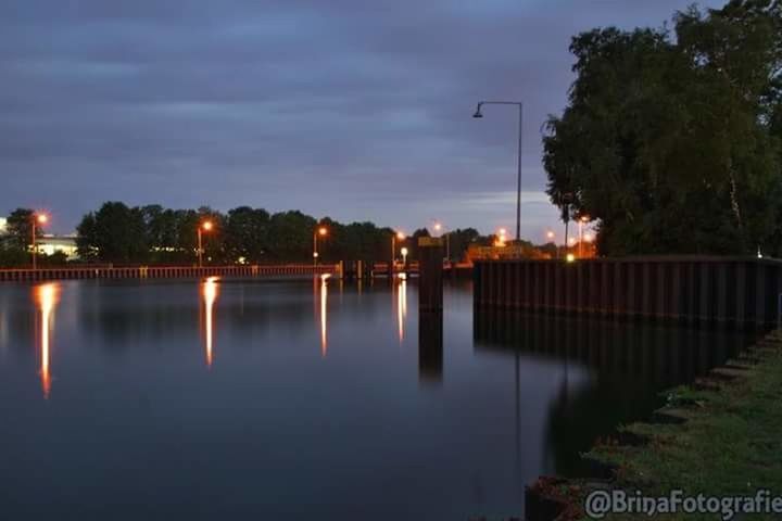 ILLUMINATED BUILDINGS BY TREES AT NIGHT