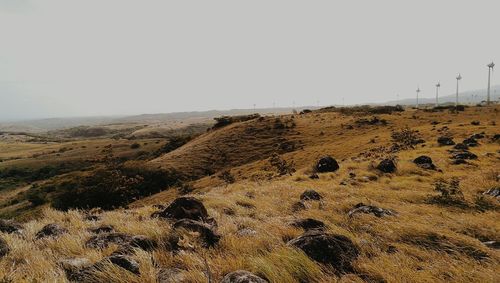 Scenic view of landscape