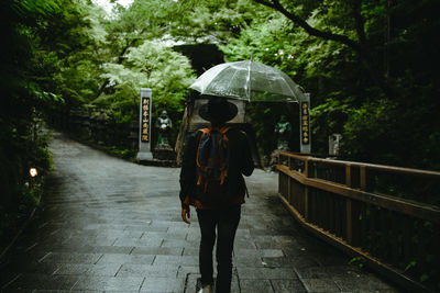 Rear view of woman with bag holding umbrella while walking on footpath by trees in forest