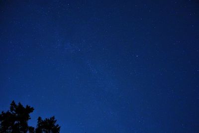 Low angle view of trees against blue sky at night