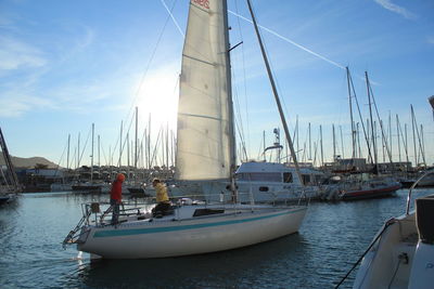 Boats moored at harbor