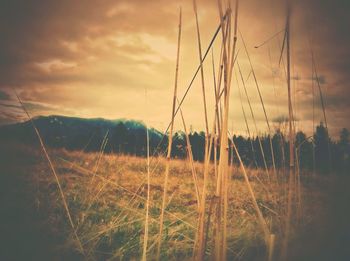 Scenic view of field against cloudy sky