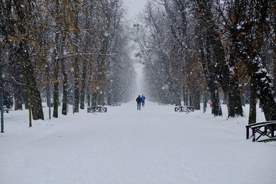 Rear view of person on snow covered land