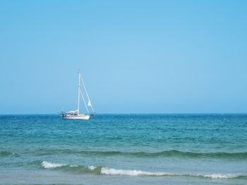 Sailboat sailing on sea against clear sky