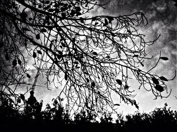 Low angle view of bare tree against sky