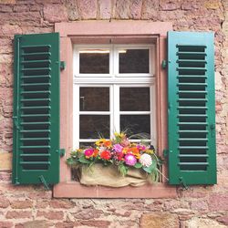 Close-up of potted plant on window of house