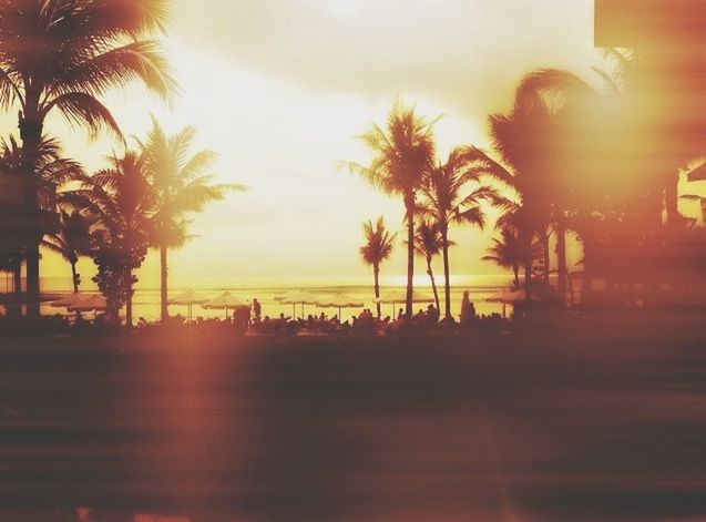 sunset, palm tree, tree, silhouette, sky, orange color, sea, water, sun, incidental people, nature, beauty in nature, sunlight, tranquility, scenics, tranquil scene, beach, outdoors, built structure, reflection