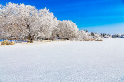 Snow covered land against sky