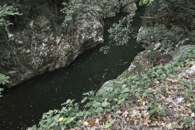 High angle view of rocks by river in forest