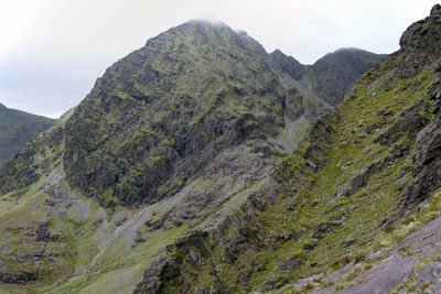 Ireland's highest mountain, carrauntoohil, mountain walkers on mountain, goats on nearby ridge