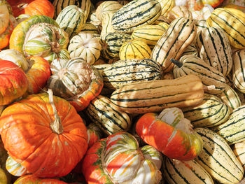 High angle view of pumpkins in market