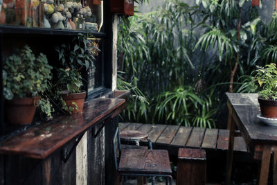 Potted plants on table at yard