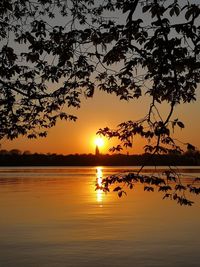 Silhouette tree by lake against sky during sunset