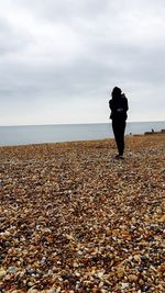 Rear view of man standing on beach against sky