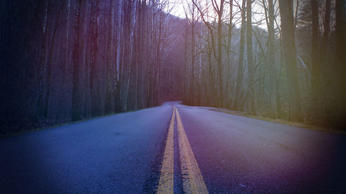 Road amidst bare trees in forest