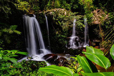 Scenic view of waterfall in forest