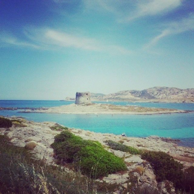 SCENIC VIEW OF BEACH