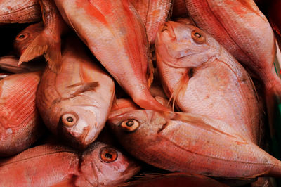 Close-up of orange dead fishes for sale in market