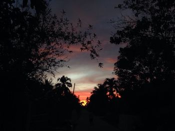 Silhouette of trees against sky at sunset