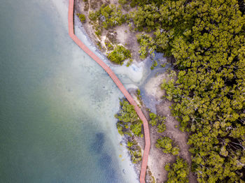 Aerial view of boardwalk by sea and trees