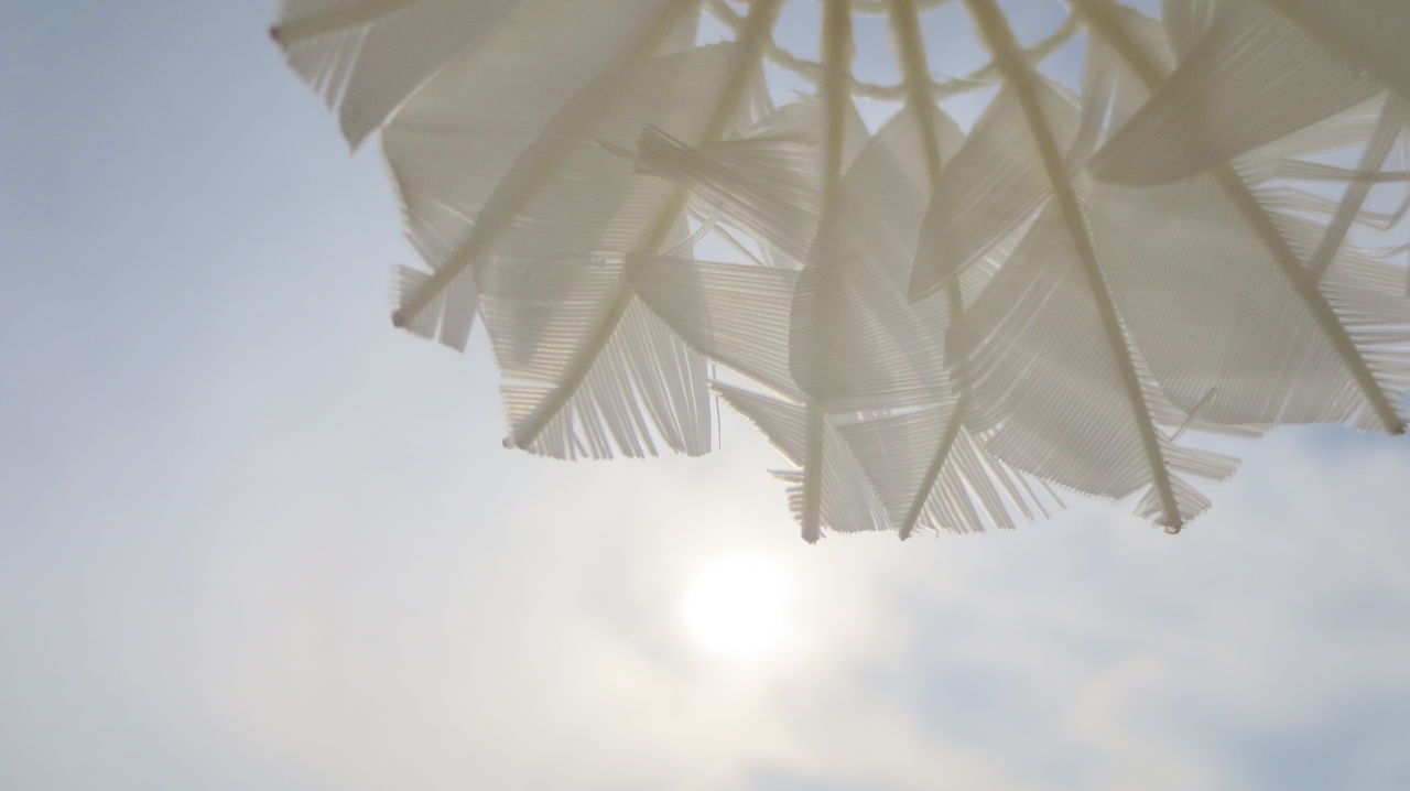 LOW ANGLE VIEW OF UMBRELLAS HANGING AGAINST SKY