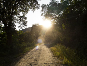 Road amidst trees against bright sun