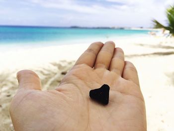 Close-up of human hand on beach