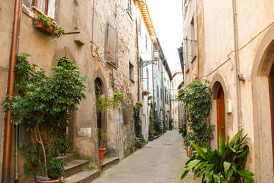 Narrow alley amidst buildings in city